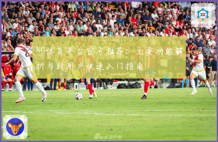 NG体育平台官方推荐：主要功能解析与新用户快速入门指南