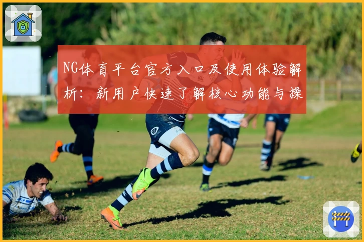 NG体育平台官方入口及使用体验解析：新用户快速了解核心功能与操作技巧